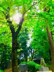 野木神社の建物その他