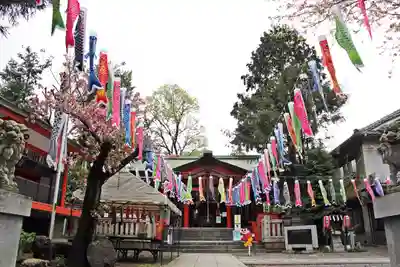 くまくま神社(導きの社 熊野町熊野神社)のお祭り