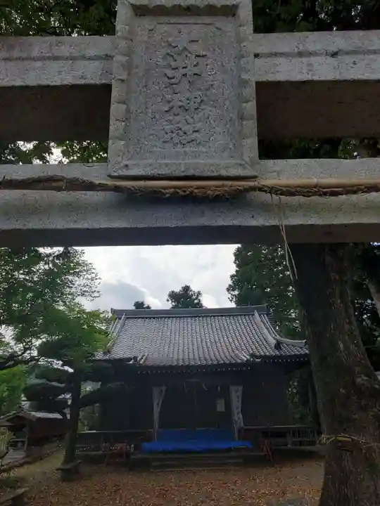 大井神社の本殿・本堂