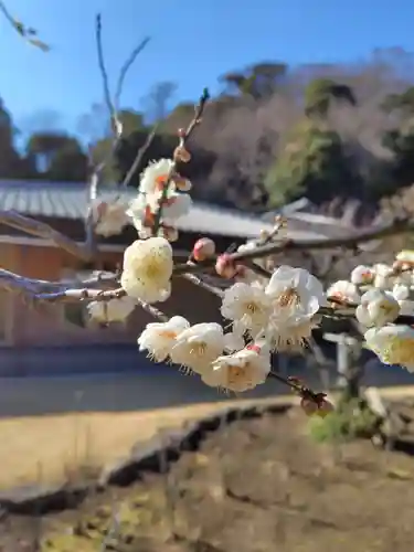 禅居院(神奈川県)