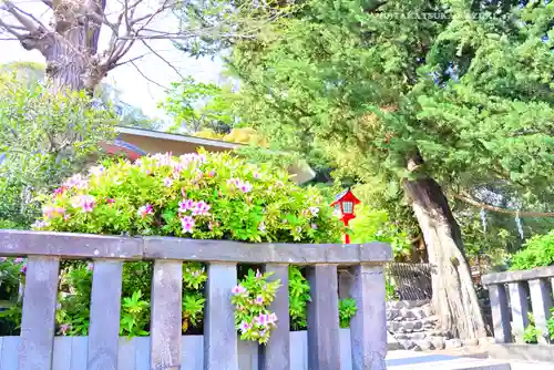 瀬戸神社(神奈川県)