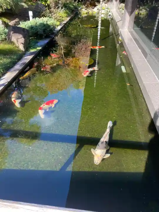 護国寺(東京都)