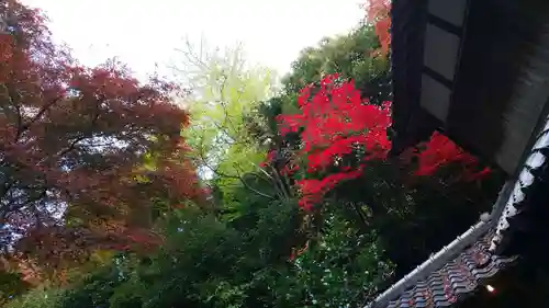 柳谷観音　楊谷寺の庭園