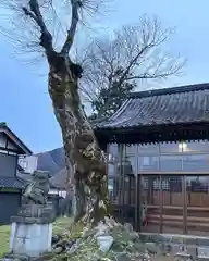 愛宕神社(福井県)