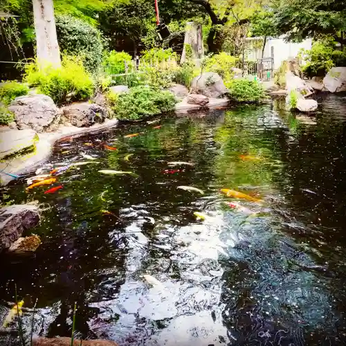 愛宕神社の庭園