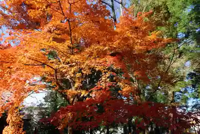 神炊館神社 ⁂奥州須賀川総鎮守⁂(福島県)