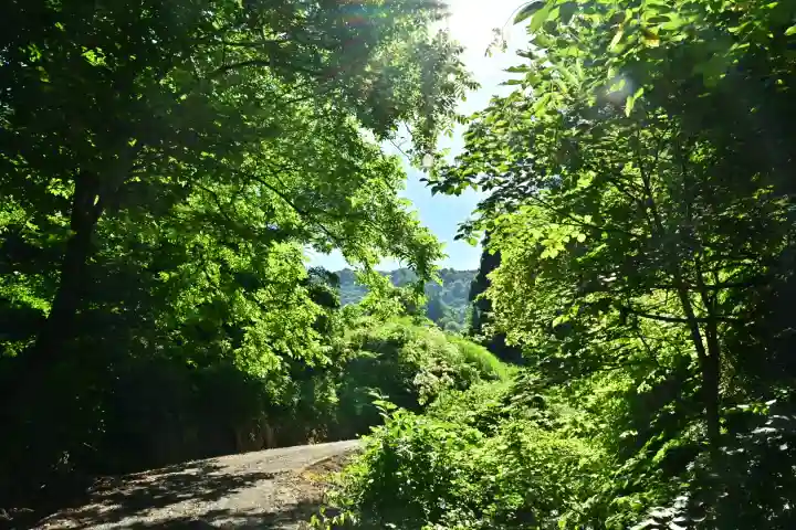 高龍神社 奥之院(新潟県)
