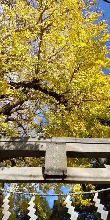 日枝神社(神奈川県)