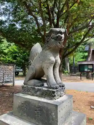 大谷地神社の狛犬