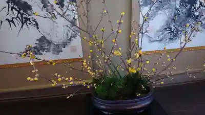 雲龍院(京都府)