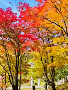 土津神社|こどもと出世の神さま(福島県)(2025年11月04日(火) 15時51分01秒投稿)