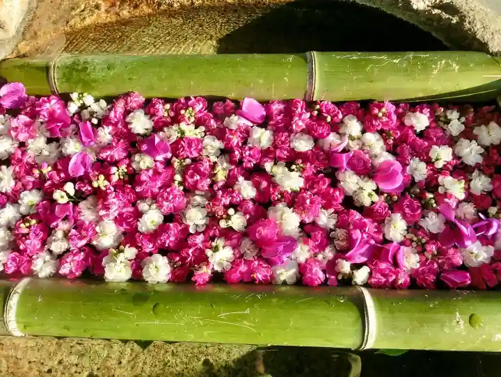 立志神社の手水舎