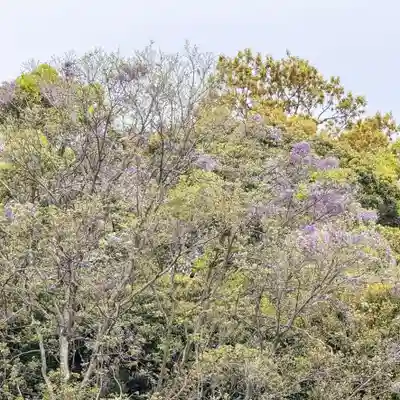 伊勢の国 四天王寺(三重県)