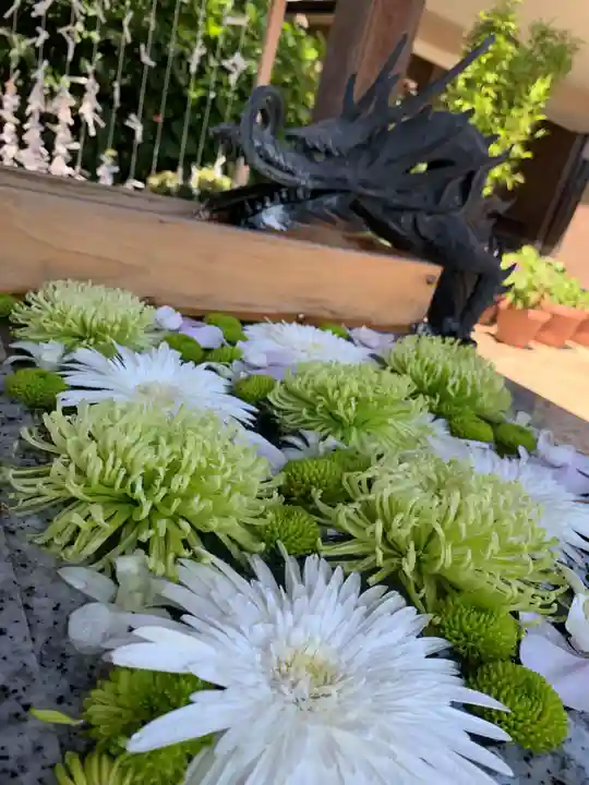 川越八幡宮(埼玉県)