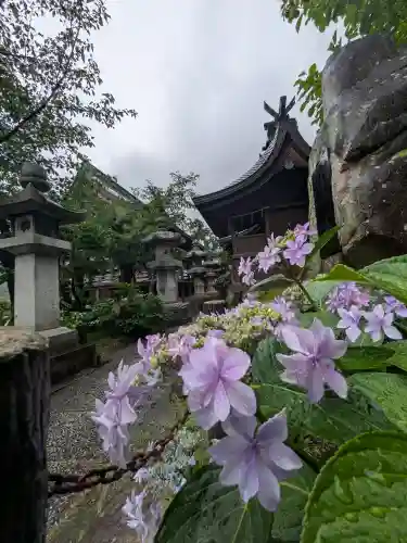 石清尾八幡宮(香川県)