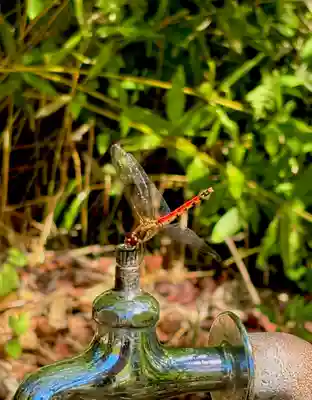 蚊里田八幡宮(長野県)