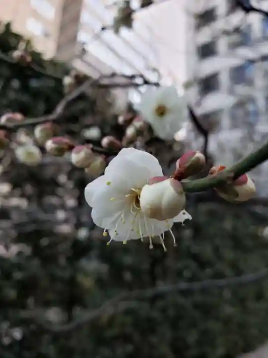 銀世界稲荷神社(東京都)