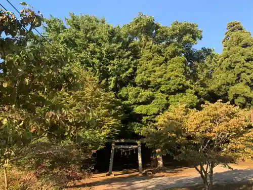 御嶽神社の鳥居