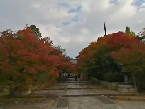 真正極楽寺（真如堂）の景色