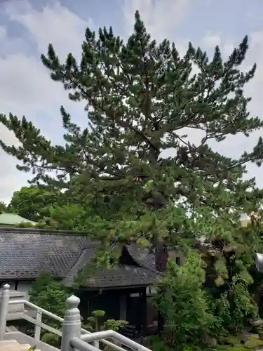 玄国寺のその他建物