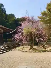 橿原神宮の自然