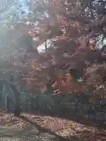 北野天満宮(京都府)