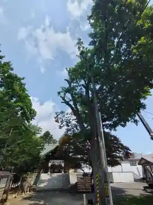 厚別神社(北海道)