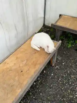 梅宮大社(京都府)