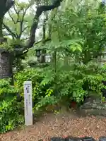 八坂神社(祇園さん)の自然