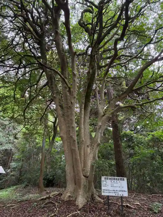虚空蔵堂(千葉県)