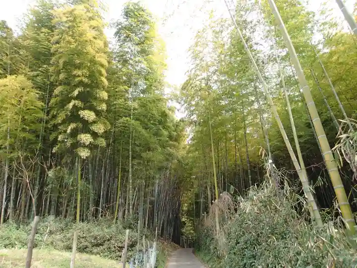 平尾姫丸稲荷大明神の自然