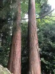 劒神社(福井県)