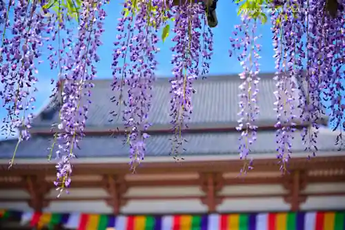 西新井大師総持寺(東京都)