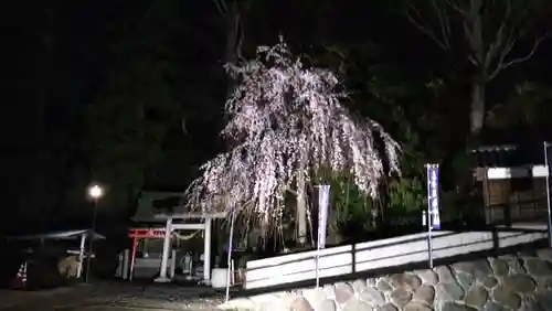 立鉾鹿島神社の庭園