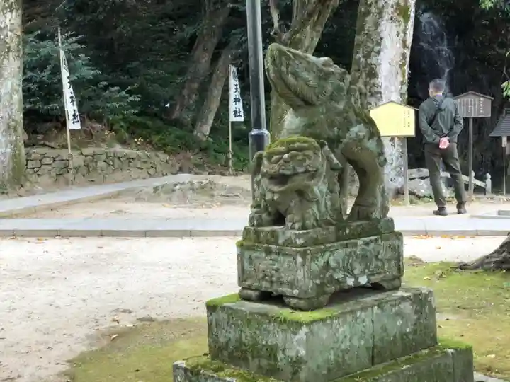 出雲大社の狛犬