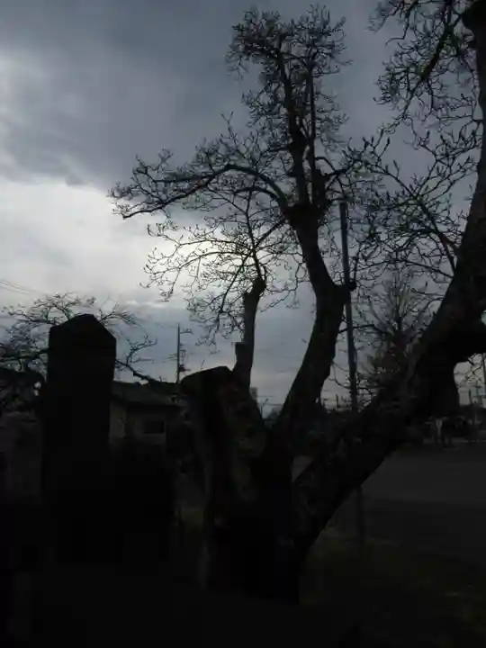 富士嶽神社(群馬県)