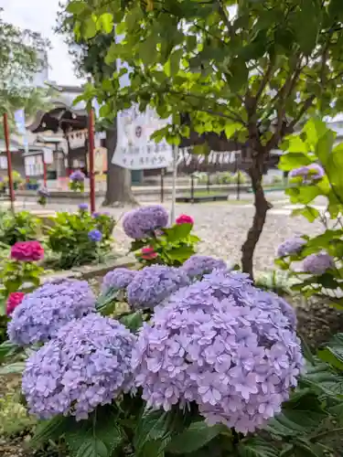 磐井神社(東京都)