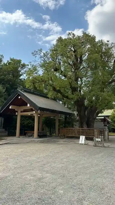 和泉國一之宮 大鳥大社(大阪府)