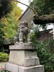 赤坂氷川神社の狛犬