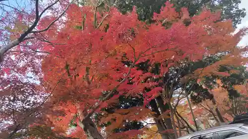 出雲大神宮(京都府)