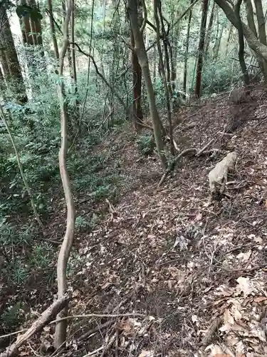 旧愛宕神社の自然