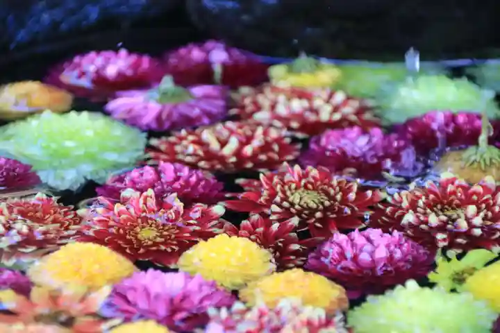 大鏑神社の手水舎