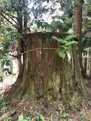 国造神社(熊本県)