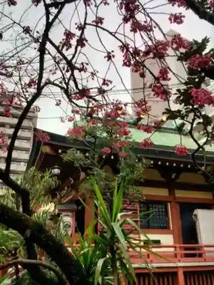秋葉神社(東京都)
