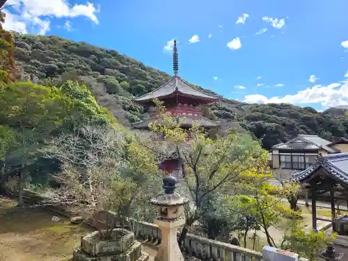 太山寺の建物その他