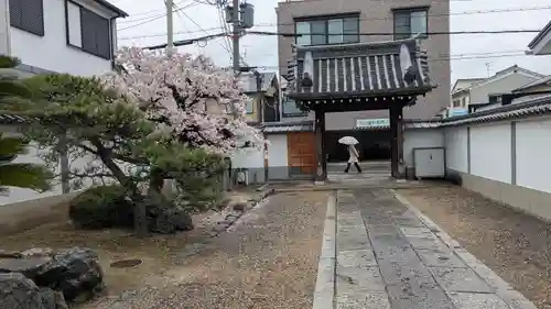 常泰寺(京都府)