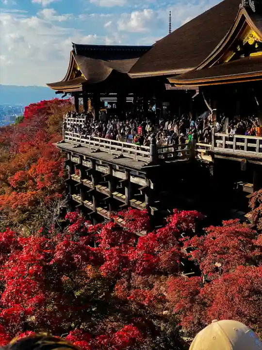 清水寺(京都府)
