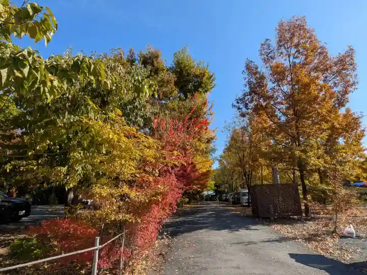 宝登山神社(埼玉県)