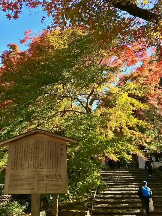 安楽寺(京都府)