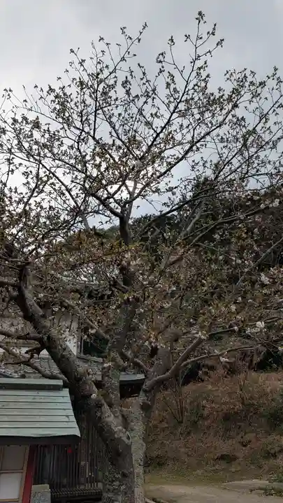 東蓮寺(福岡県)